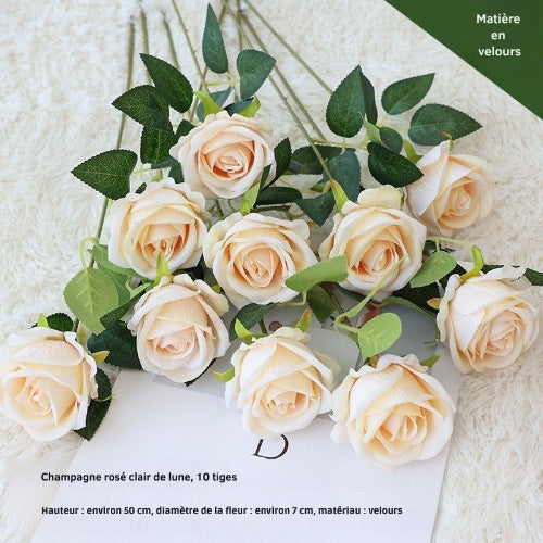 Champagne Rose Clair de Lune (10 bâtonnets) L= 5Ocm