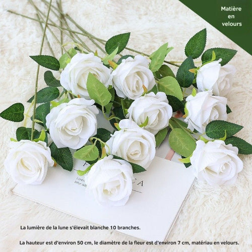 Rose clair de lune blanc 10 branches L= 5Ocm