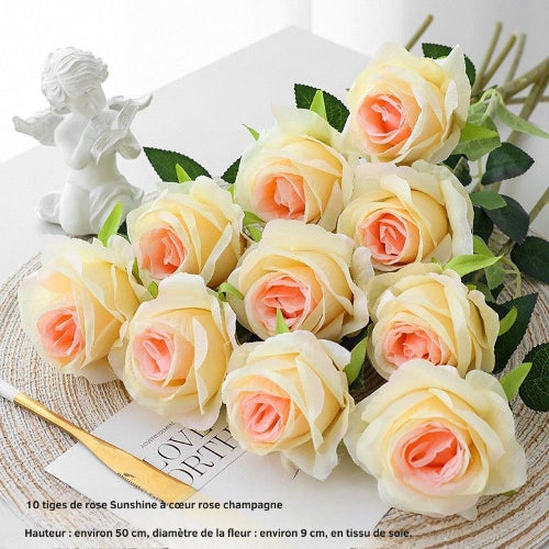 Rose ensoleillé Poudre Noyau Champagne 10 bâtonnets L= 5Ocm