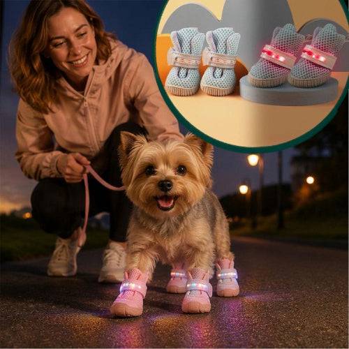 chaussure chien bleu